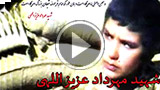 شهید مهرداد عزیزاللهی