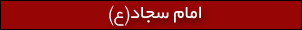 امام سجاد(ع)