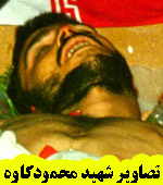 تصاویر شهید محمود کاوه
