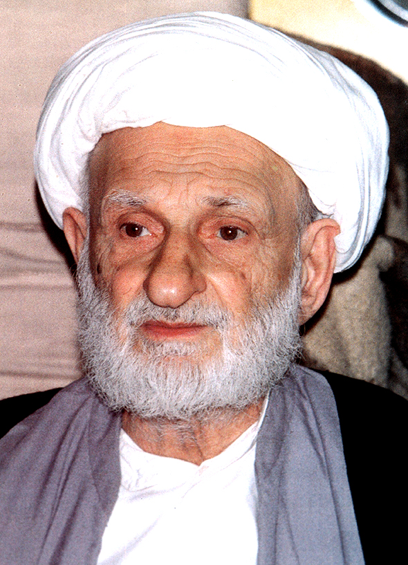 گالری عکس آیت الله محمد تقی بهجت