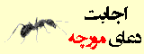 اجابت دعای مورچه