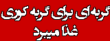 گربه ای برای گربه کوری غذا میبرد