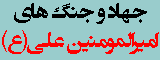 جهاد و جنگ های امیرالمومنین علی(ع)