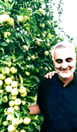حاج قاسم سلیمانی