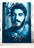 عکس های شهید هادی