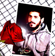 تصویر شهید هادی