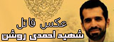 قاتل شهید احمدی روشن