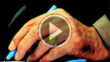 نامه آقا به اروپا و آمریکای شمالی