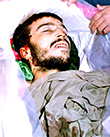 مجموعه تصاویر شهید کاوه