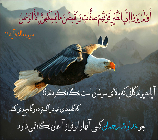 سوره ملک