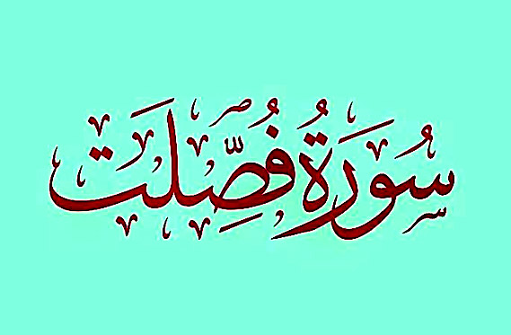 ثواب و خواص و فضیلت سوره فصلت چیست؟