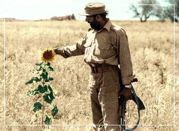 عکسی زیبا از شهید چمران