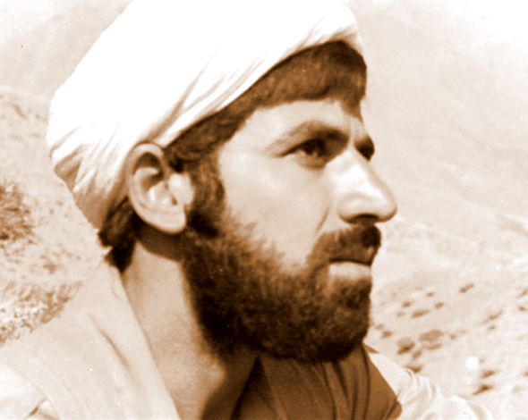 عکس نیم رخ شهید مصطفی ردانی پور